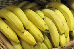 Посол РФ: бунты в Эквадоре не повлияют на поставки бананов из страны