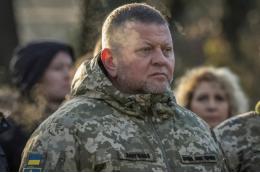 Бывший украинский министр Тука: Зеленский заменит Залужного Будановым