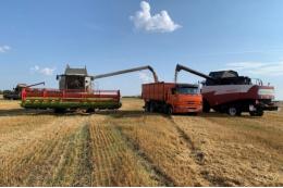 Россия обновила трехлетний рекорд экспорта зерна