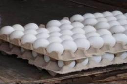 Эксперт Карпов предупредил о росте цен на яйца перед Пасхой
