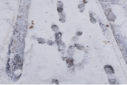 Глава Каменска-Шахтинского Ухин сломал ногу на нечищеном тротуаре