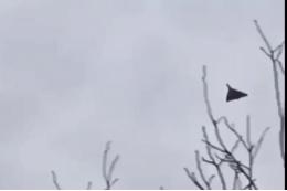Гладков: линия газоснабжения повреждена при атаке дрона ВСУ