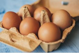 Минсельхоз зафиксировал снижение цен на яйца четвертую неделю подряд