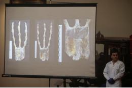 АР: ученые обнаружили в «мумиях инопланетян» из Перу кости животных