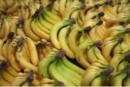Индия начала поставлять бананы в РФ