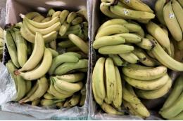 АКОРТ: предпосылок для дефицита бананов в России нет