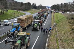 Логвинов: отказ ЕС от энергоресурсов РФ стал причиной протестов фермеров