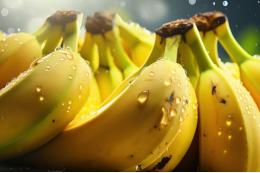 Возобновлена сертификация бананов с пяти предприятий Эквадора