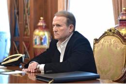 Медведчук: киевский режим получил власть в 2014 году преступным путем