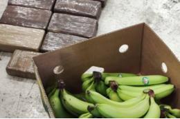 В контейнере с бананами в Петербурге нашли кокаин на 165 млн рублей