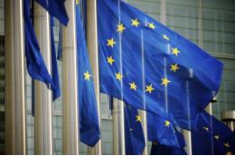 Послы ЕС объяснили отказ от встречи с Лавровым низким уровнем доверия