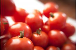 Путин поручил увеличить производство томатов, чтобы не зависеть от импорта