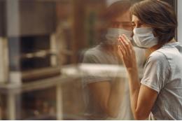Россиян предупредили о новой возможной пандемии из-за птичьего гриппа H7N9