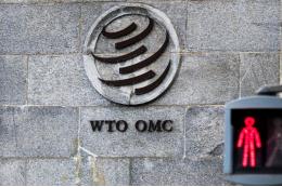 Постпред при ВТО: Россия ничего не выиграет от выхода из организации