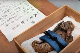 Ученые разгадали тайну японской «русалки» спустя столетие