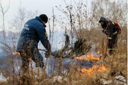 В ДНР объявили режим пожароопасного периода