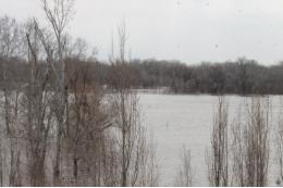 В Казахстане эвакуировали свыше 104 тысяч человек из-за паводка
