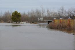 Почти 140 домов оказались затопленными в Томской области