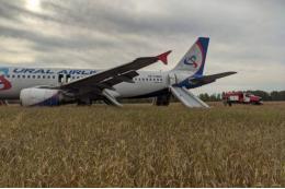 Mash: уволился пилот, посадивший Airbus A320 в поле под Новосибирском