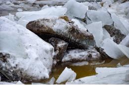 Из-за ледового затора в Томской области уровень воды в Оби вырос на 107 см