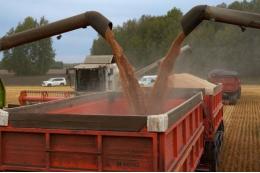 Россия в первом квартале поставила в Китай зерно на рекордные $125 млн