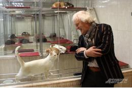 После выписки из больницы Куклачев намерен встретиться со своими котами